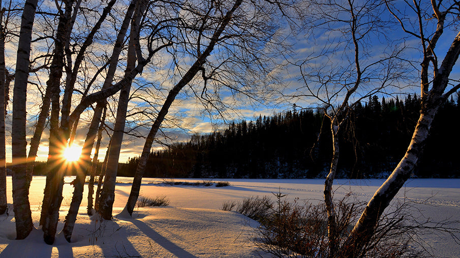 How to Deal Effectively with Reduced Sunlight During Winter