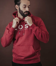 Load image into Gallery viewer, LOST Hoodie 1.0
